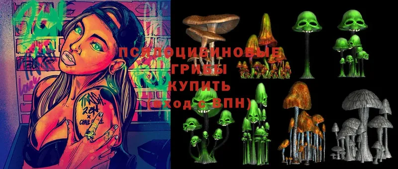 Псилоцибиновые грибы Psilocybine cubensis  Буй 